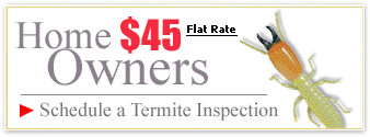 San Diego termiteadvisors.com home buyer's inspeciton buy button